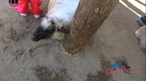 Dez Hansen Farm Date Part 1